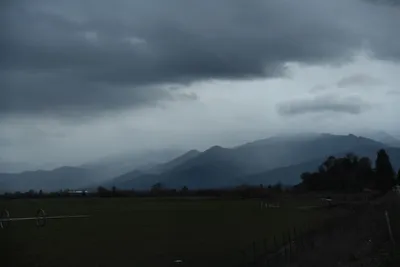 DSC_6750 (Large).JPG